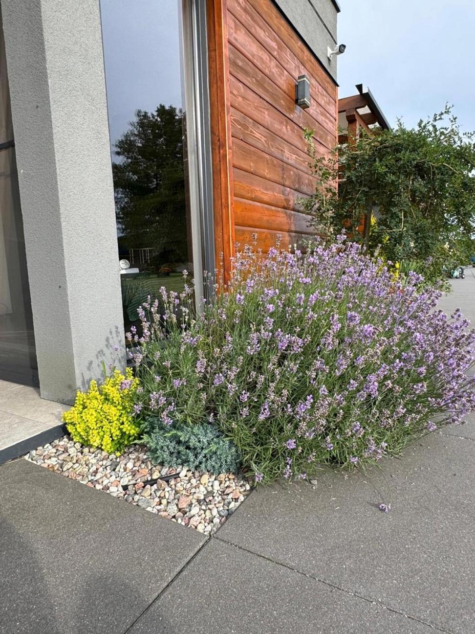 Cisza Bungalows Village / Blisko Natury Nowecin Exterior photo